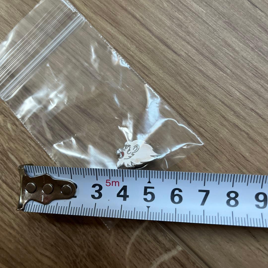 サイン入り木製バットと野球ボールとピンバッチセット