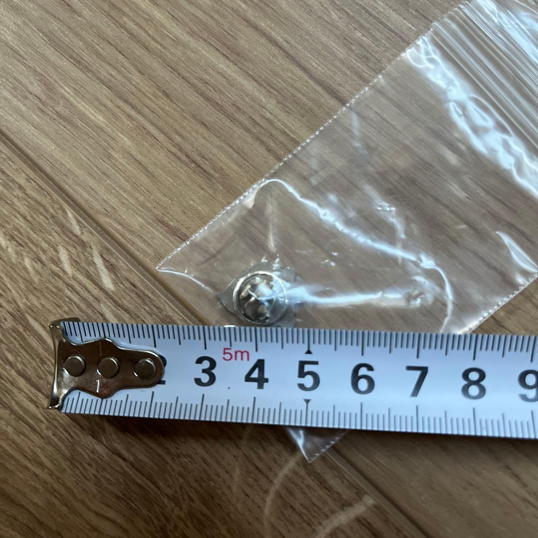 サイン入り木製バットと野球ボールとピンバッチセット