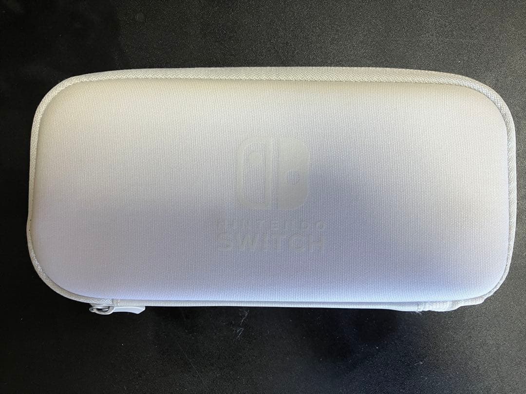 Nintendo Switch Lite ターコイズ 本体 ACアダプター他