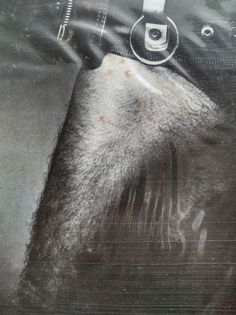 アクセプト レコード3枚セット