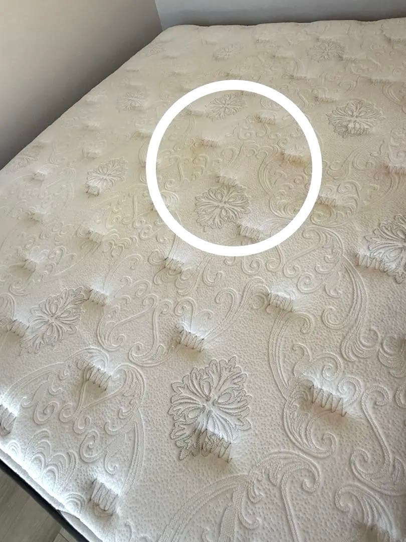 シーリー　クラウンジュエル　ワイドダブル