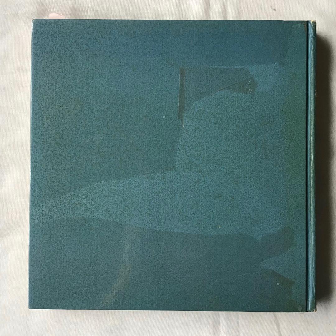 【貴重品】archigraphia グラフィック　デザイン　洋書　海外