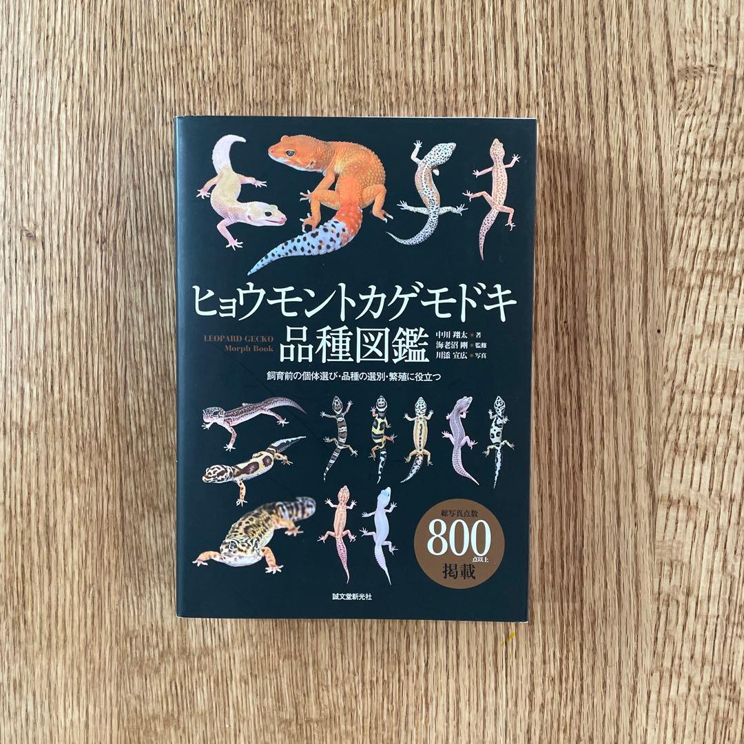 ヒョウモントカゲモドキ品種図鑑 = LEOPARD GECKO Morph B…