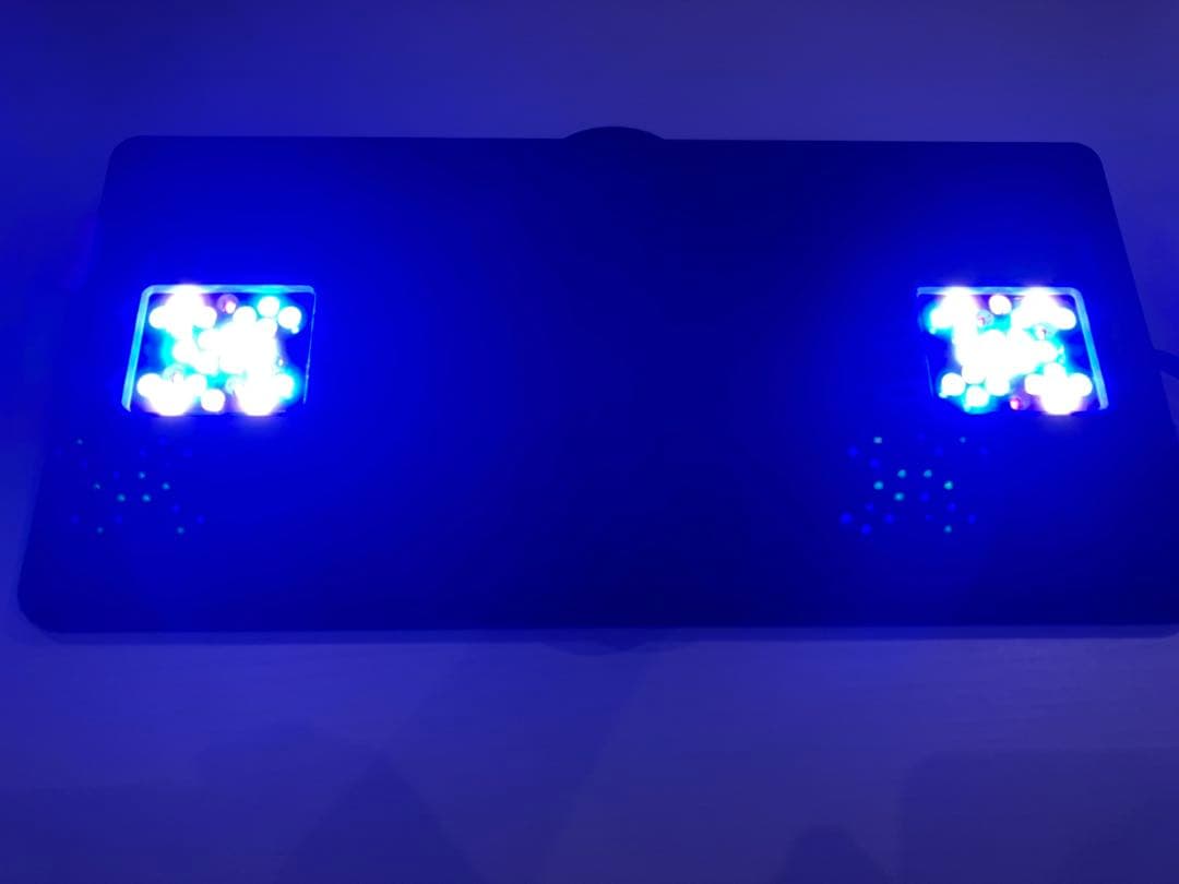 ボルクスジャパン　GrassyCore X200 LED照明　純正ワイヤー付き