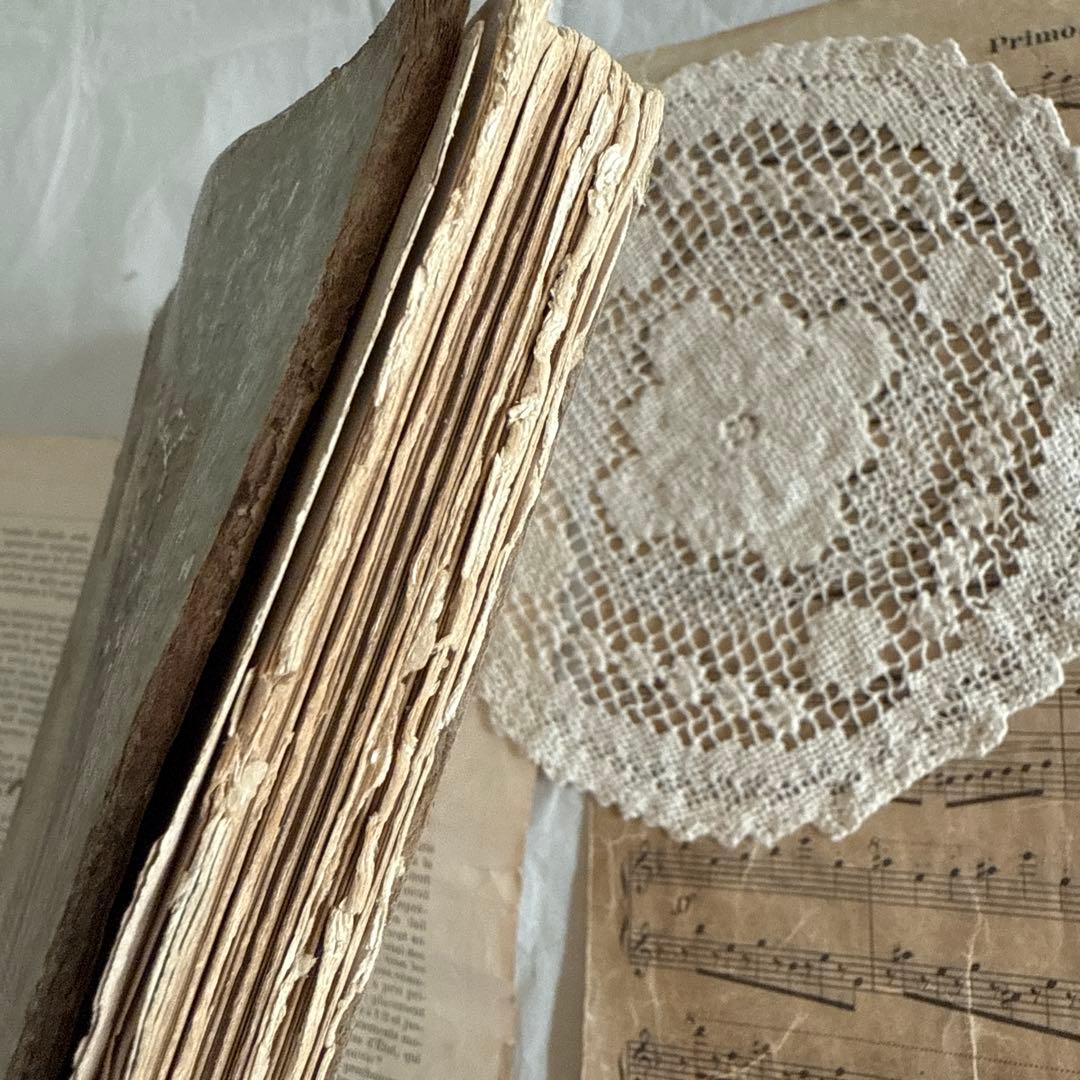 難有★稀少アンティーク美しい挿絵のヴィクトリアン絵本　洋書ジャンクジャーナル古書