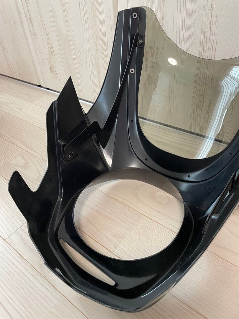 CB1100 ビキニカウル（ぴーちゃん）