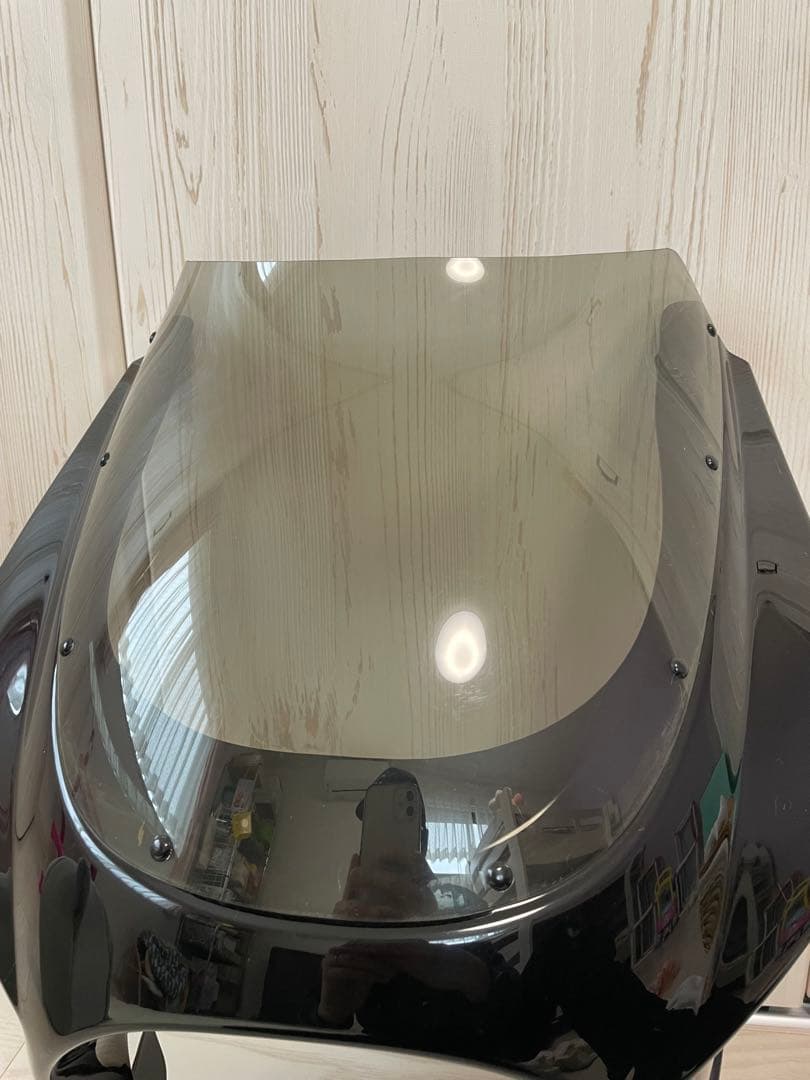 CB1100 ビキニカウル（ぴーちゃん）