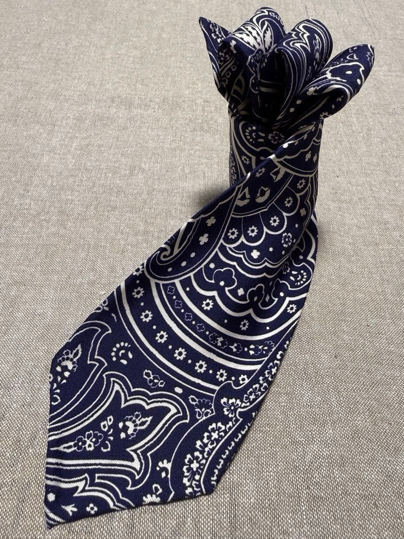 Francesco Marino／スフォデラート／ペイズリープリント／ネイビー