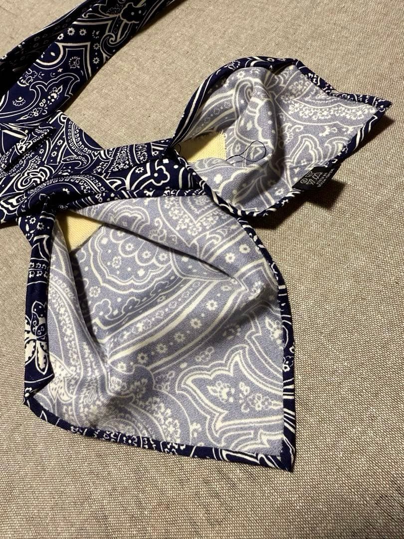 Francesco Marino／スフォデラート／ペイズリープリント／ネイビー