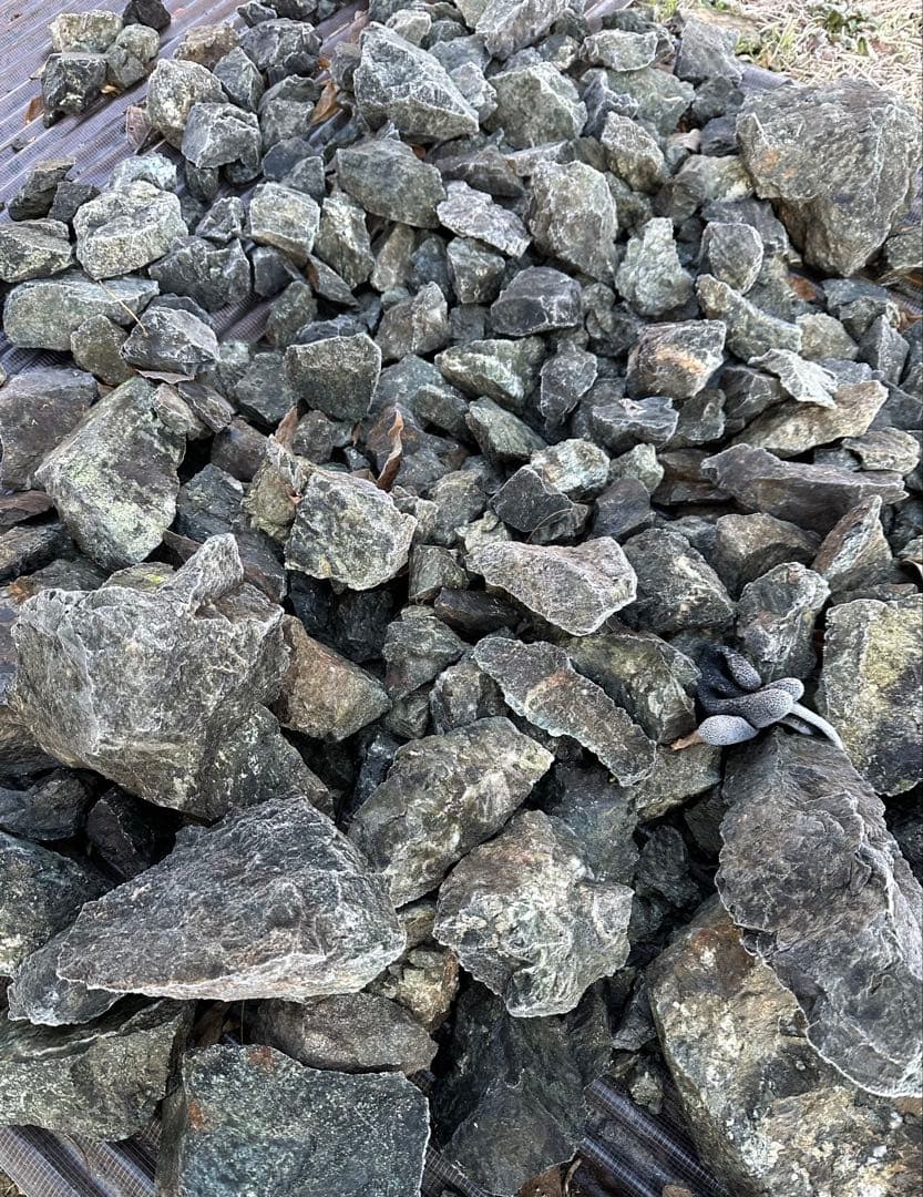 TTD 【⭐︎ しむたらふ様⭐︎】【美品・数量限定】