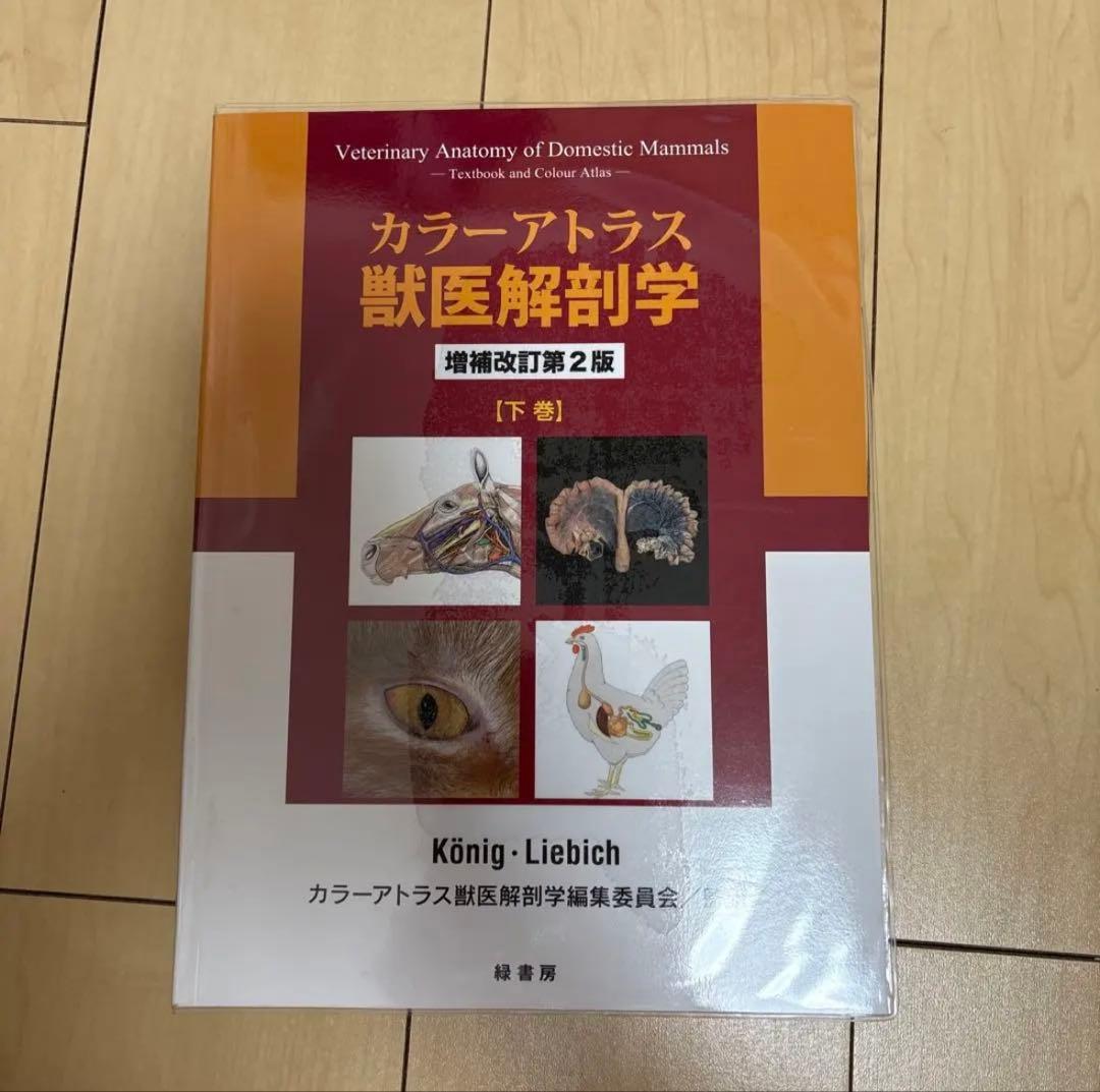 カラーアトラス獣医解剖学 上巻、下巻セット