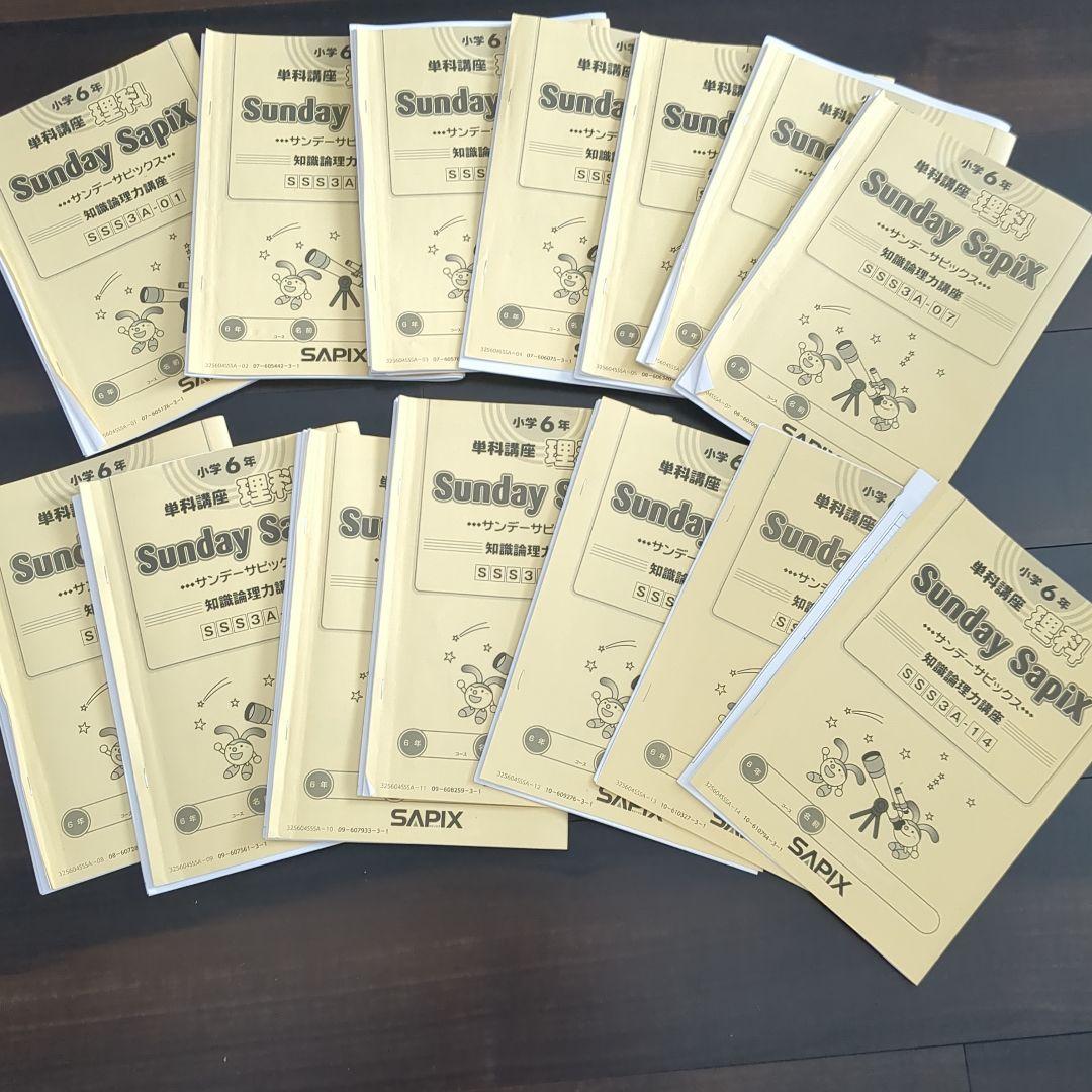 Sunday Sapix 理科 小学6年　苦手科目集中特訓