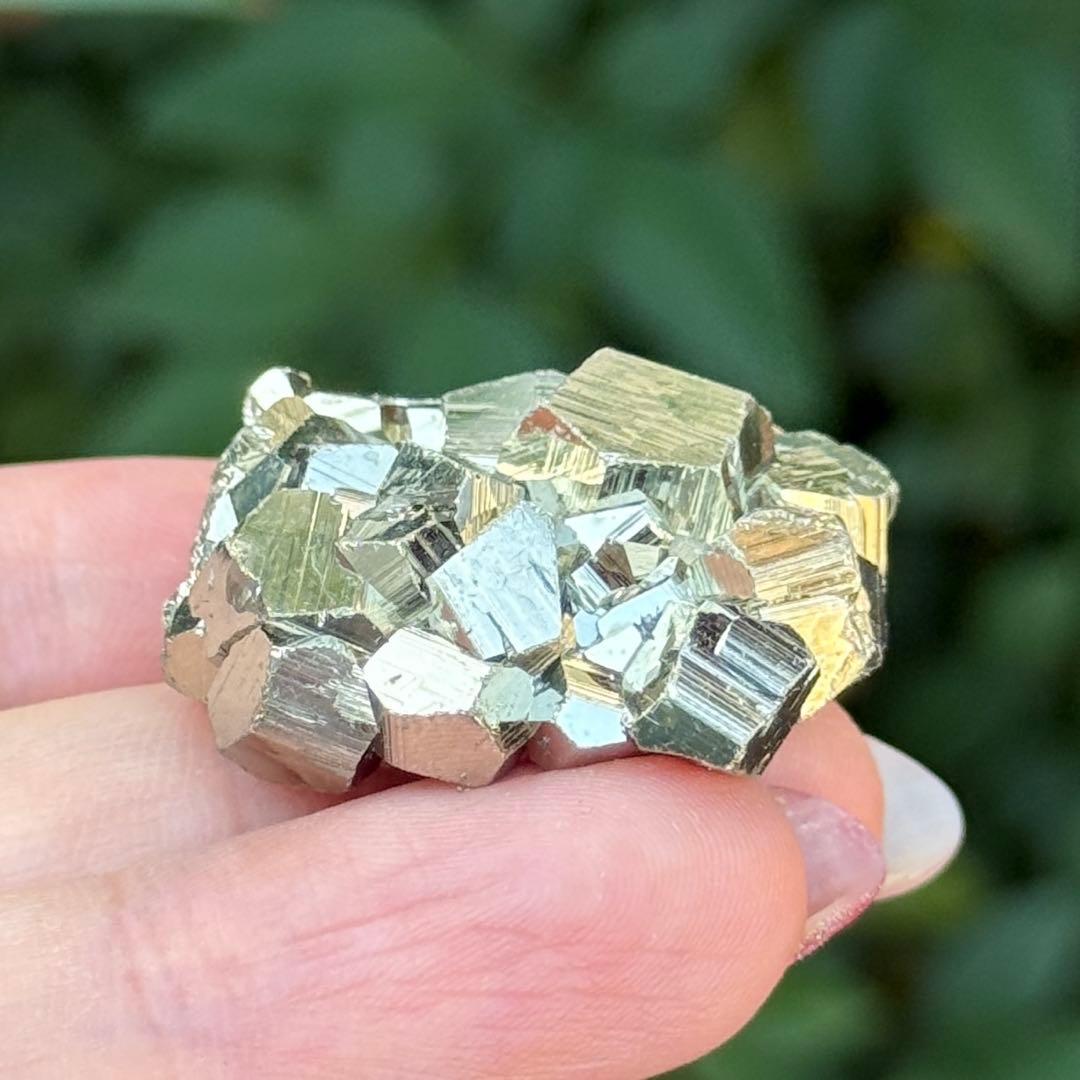 ピピ パイライト 黄鉄鉱 邪気祓い 鉱物標本コレクション MY1156