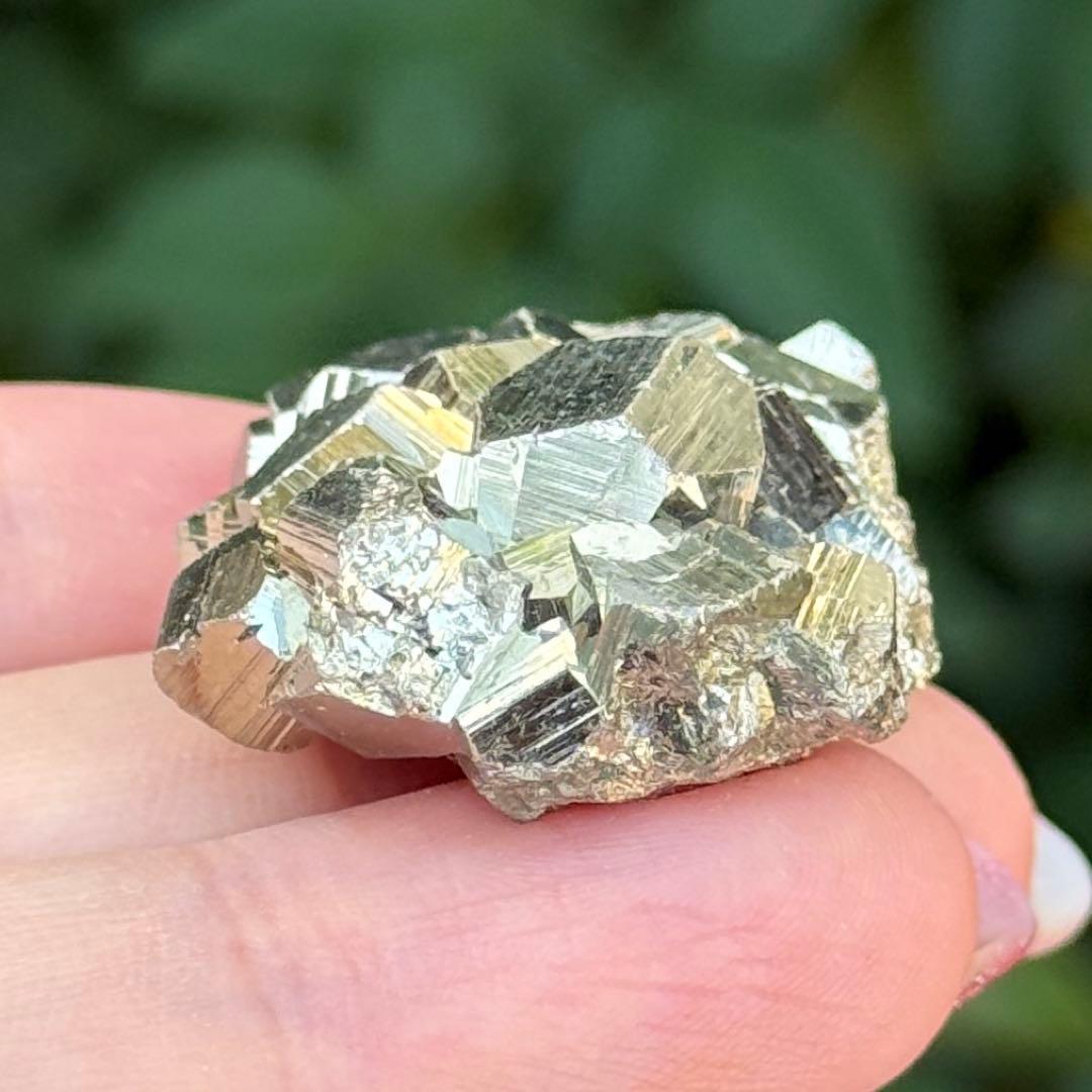 ピピ パイライト 黄鉄鉱 邪気祓い 鉱物標本コレクション MY1156