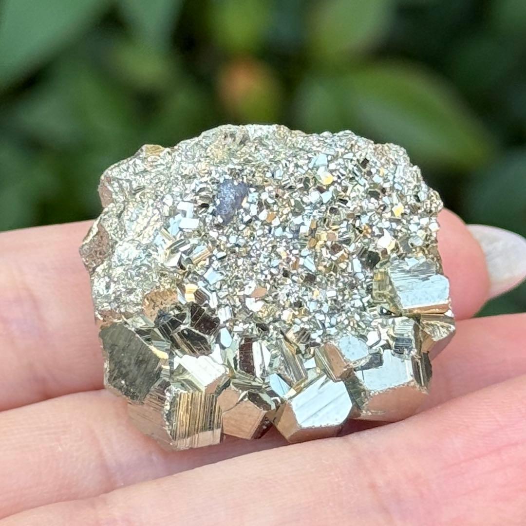 ピピ パイライト 黄鉄鉱 邪気祓い 鉱物標本コレクション MY1156