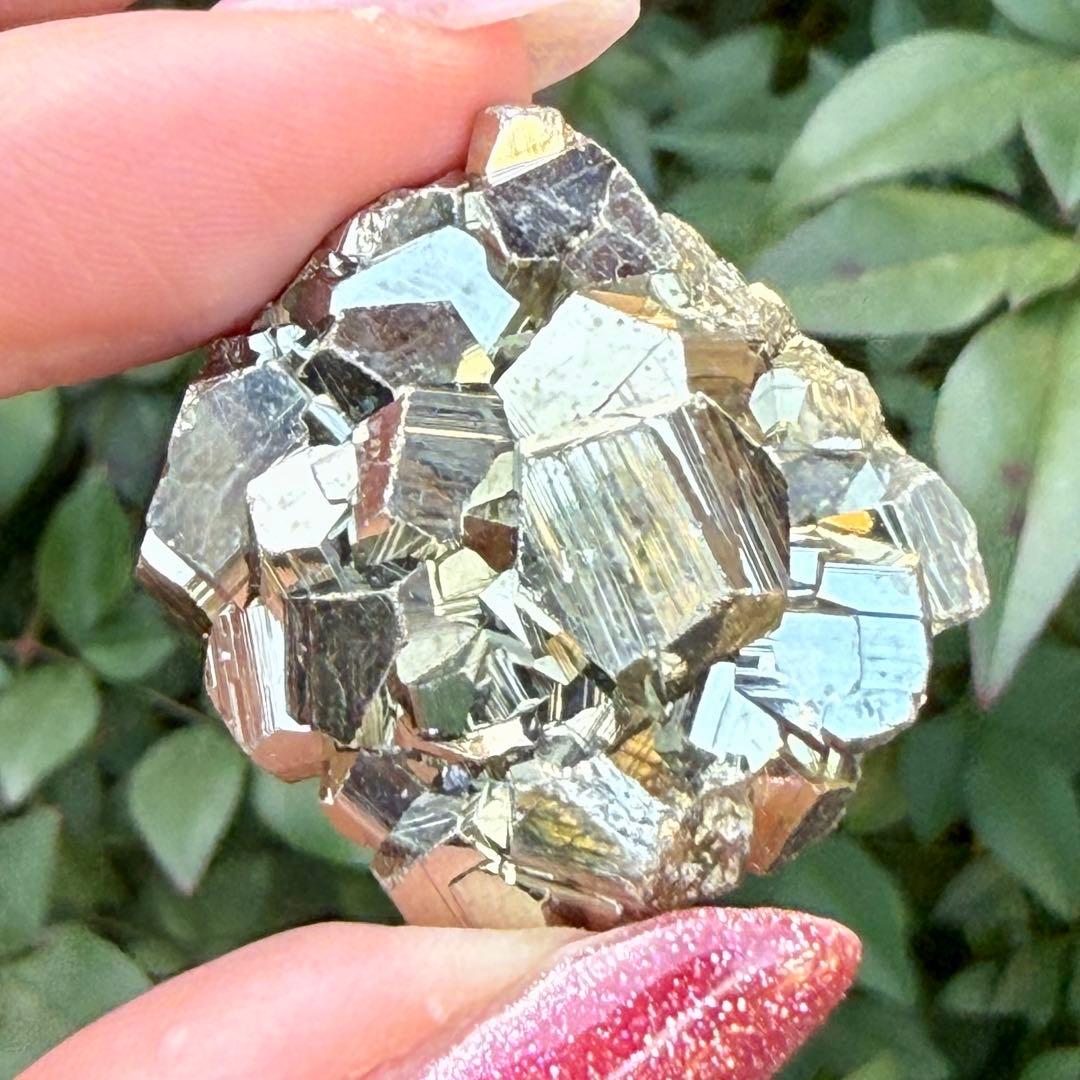 ピピ パイライト 黄鉄鉱 邪気祓い 鉱物標本コレクション MY1156