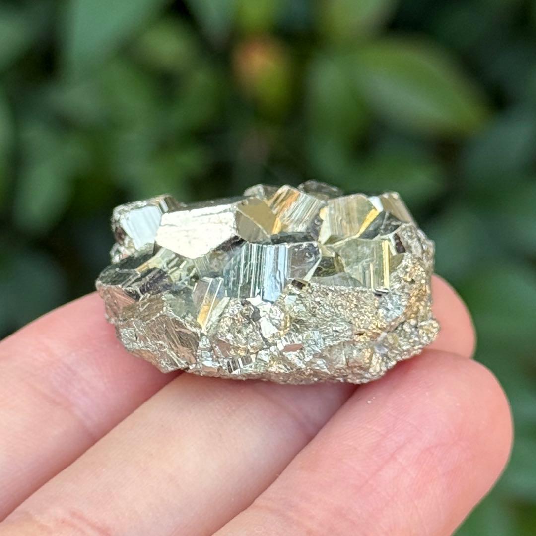 ピピ パイライト 黄鉄鉱 邪気祓い 鉱物標本コレクション MY1156