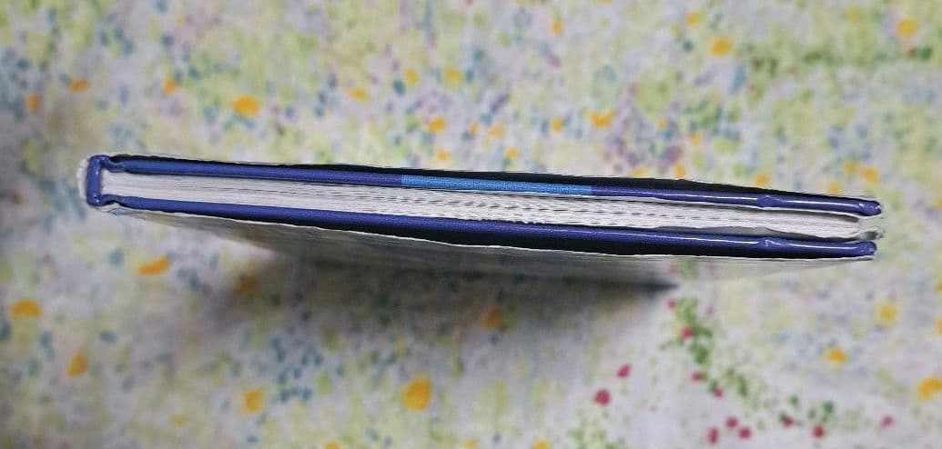 希少　ポケモン　じまのなかまたち : ポケモンえにっき　ふくやまけいこ　絵本