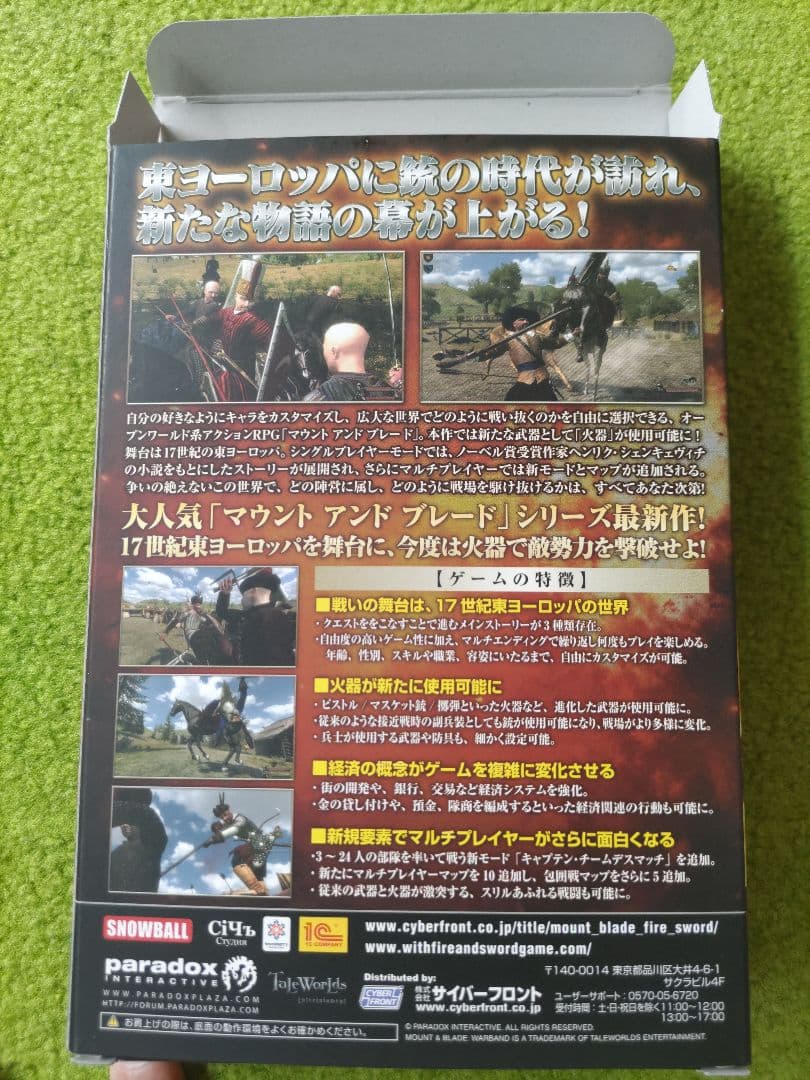 PCゲーム『マウント アンド ブレード ファイア アンド ソード 完全日本語版』