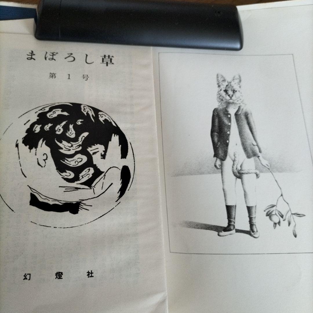 美しい日々　片山健画集