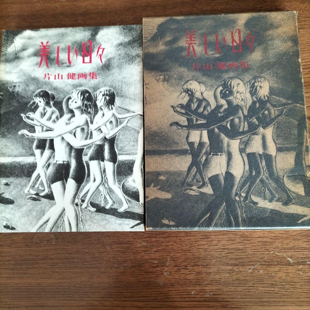 美しい日々　片山健画集