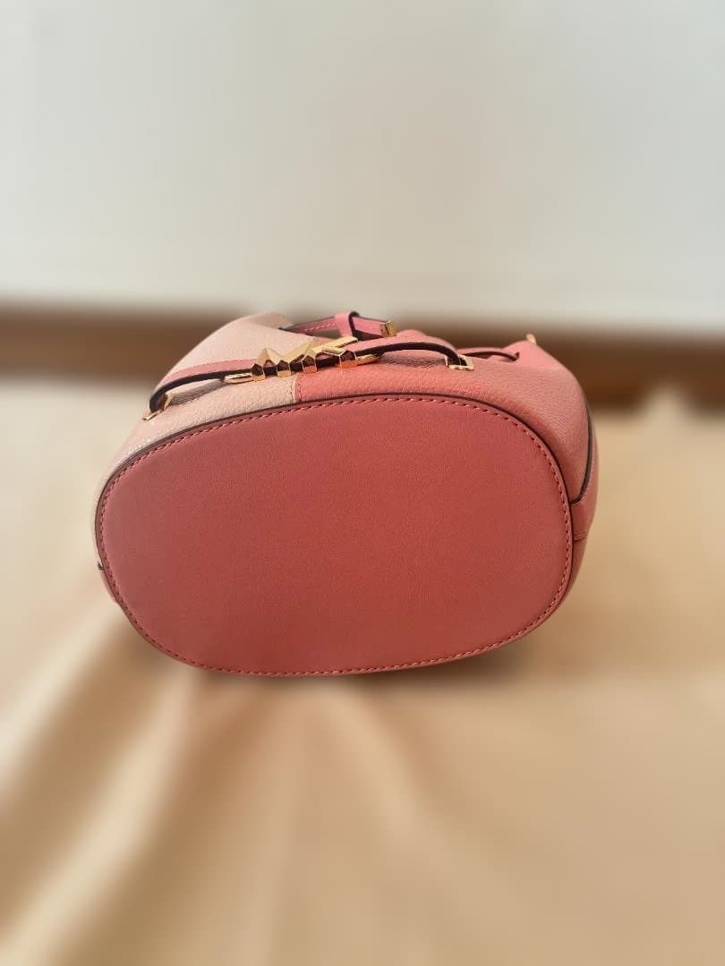 REED ベルテッド バケット ショルダー ミディアム マイケルコース