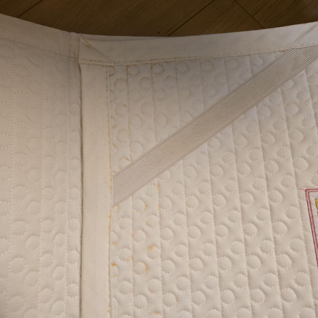 バイオマット　アメジスト　リッチウェイ　持ち運びバック