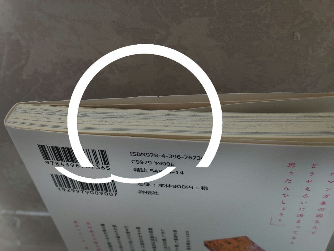 さ*ち様 【直筆イラスト 本】 志村貴子 ビューティフル・エブリデイ 1巻 初版