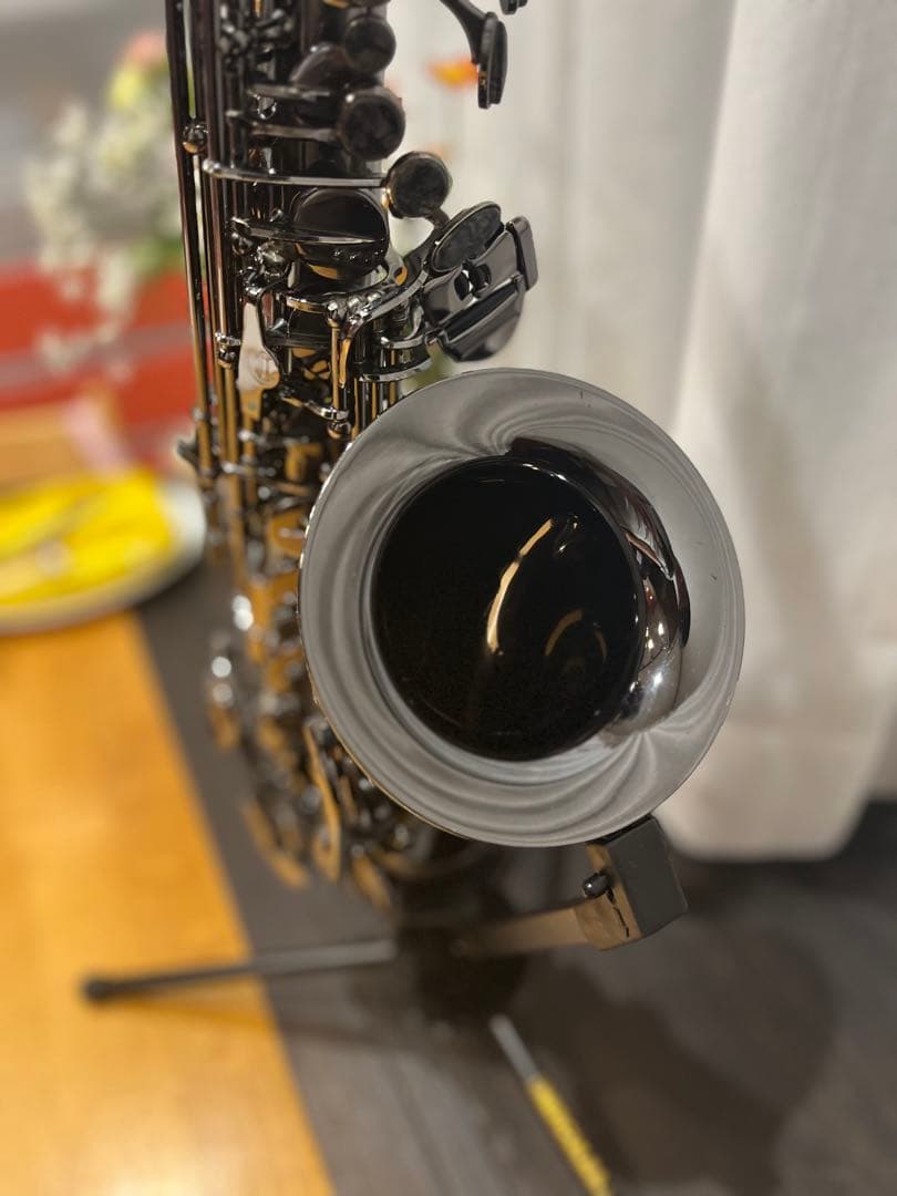 【ぶー太郎】Cannonball A5-B Big Bellアルトサックス