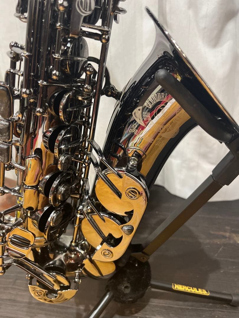 【ぶー太郎】Cannonball A5-B Big Bellアルトサックス