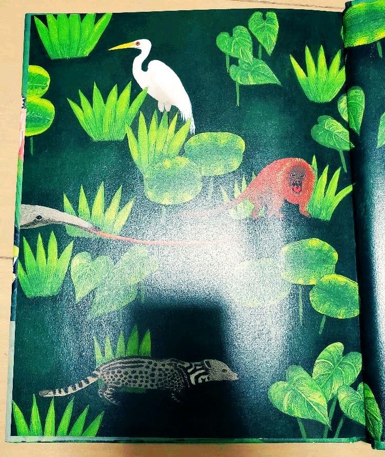 ワニ : ジャングルの憂鬱草原の無関心