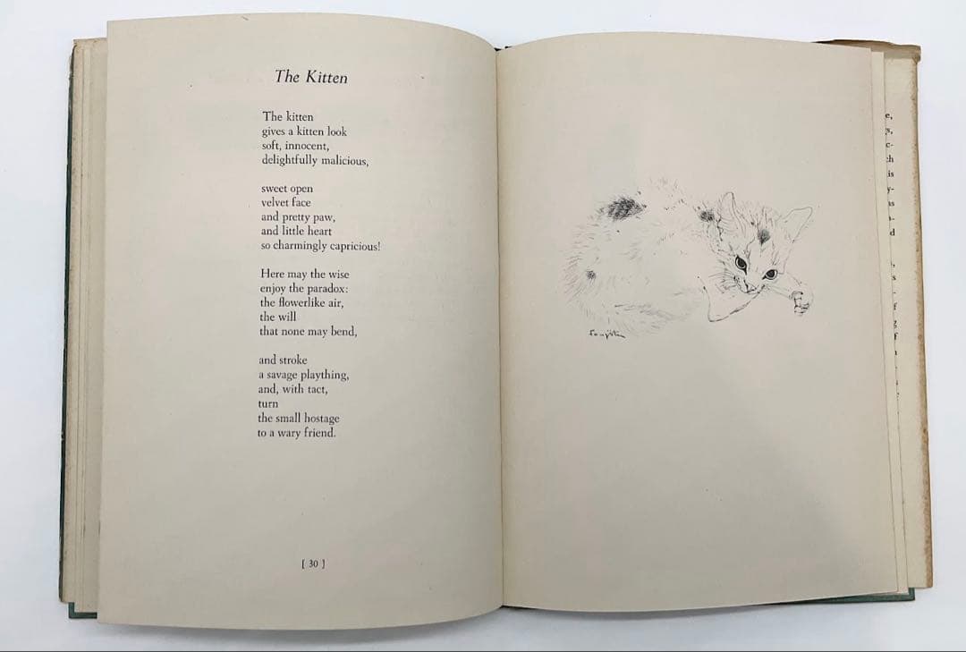 初版1950年『夜と猫』藤田嗣治 挿絵12点入り 経年あり 希少 挿絵本