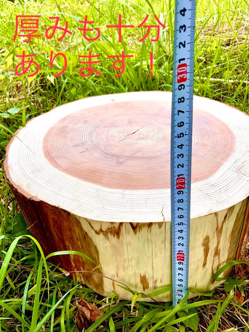 完売　オーダー受付中！天然杉/超特大サイズ！【森を感じられる切り株テーブルなど】