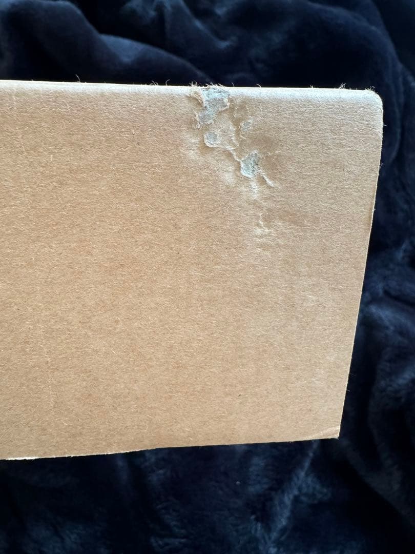 メゾンキツネ　マフラー