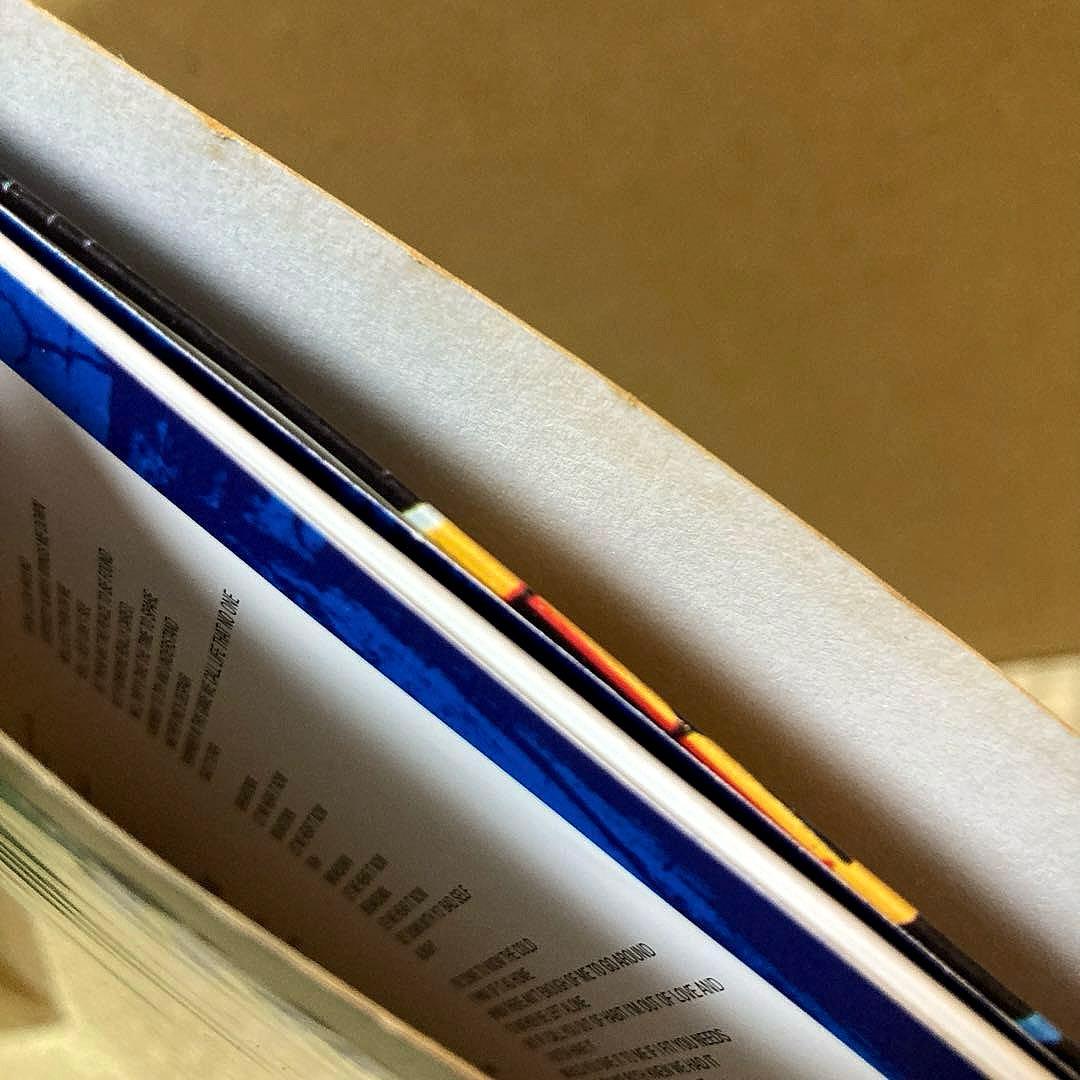 GunsN'Roses Use Your Illusion II ガンズ LP