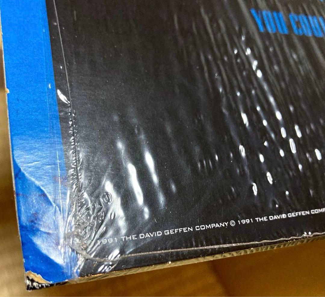 GunsN'Roses Use Your Illusion II ガンズ LP