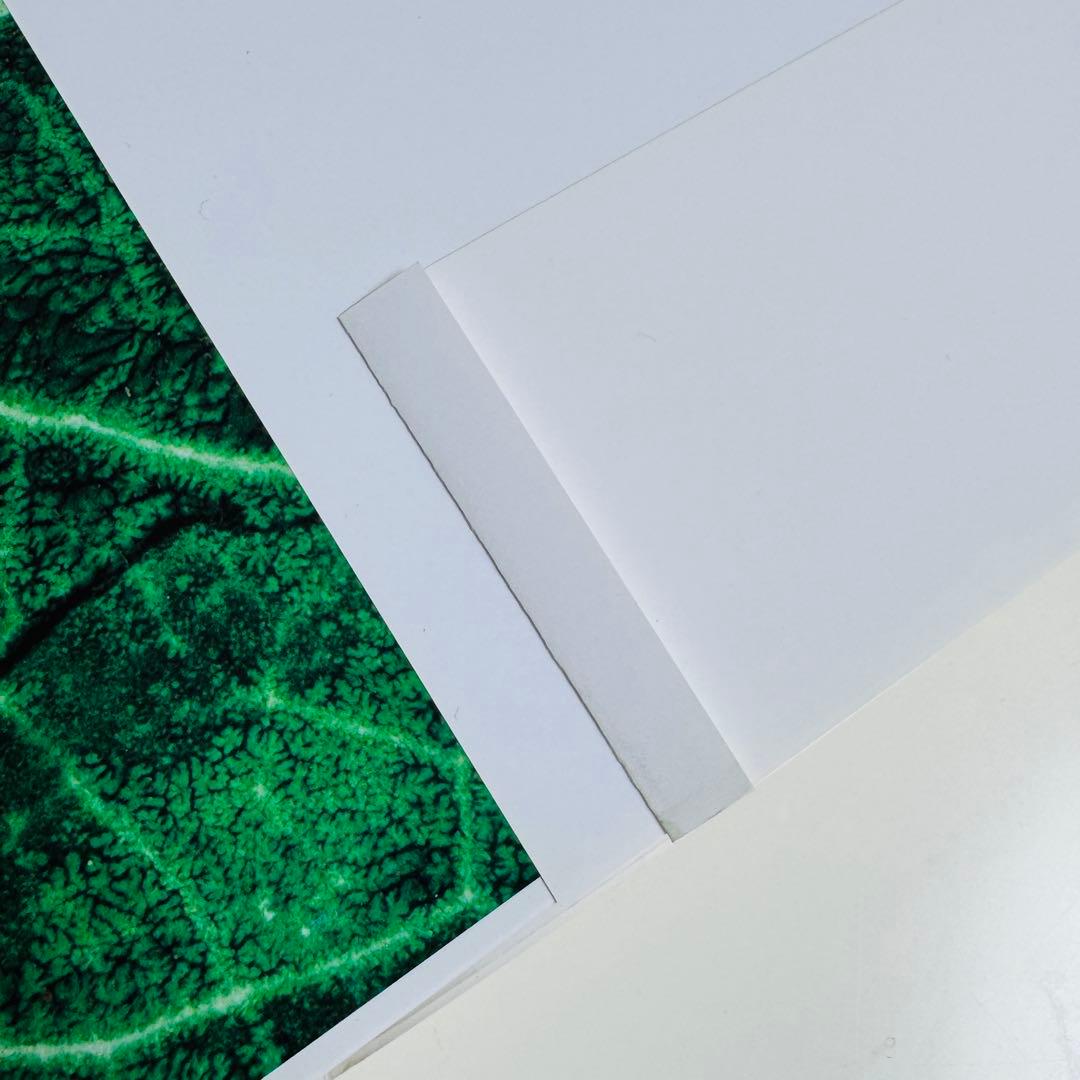 アート・デザイン・音楽 INOUE TSUGUYA GRAPHIC WORKS 1981-2007