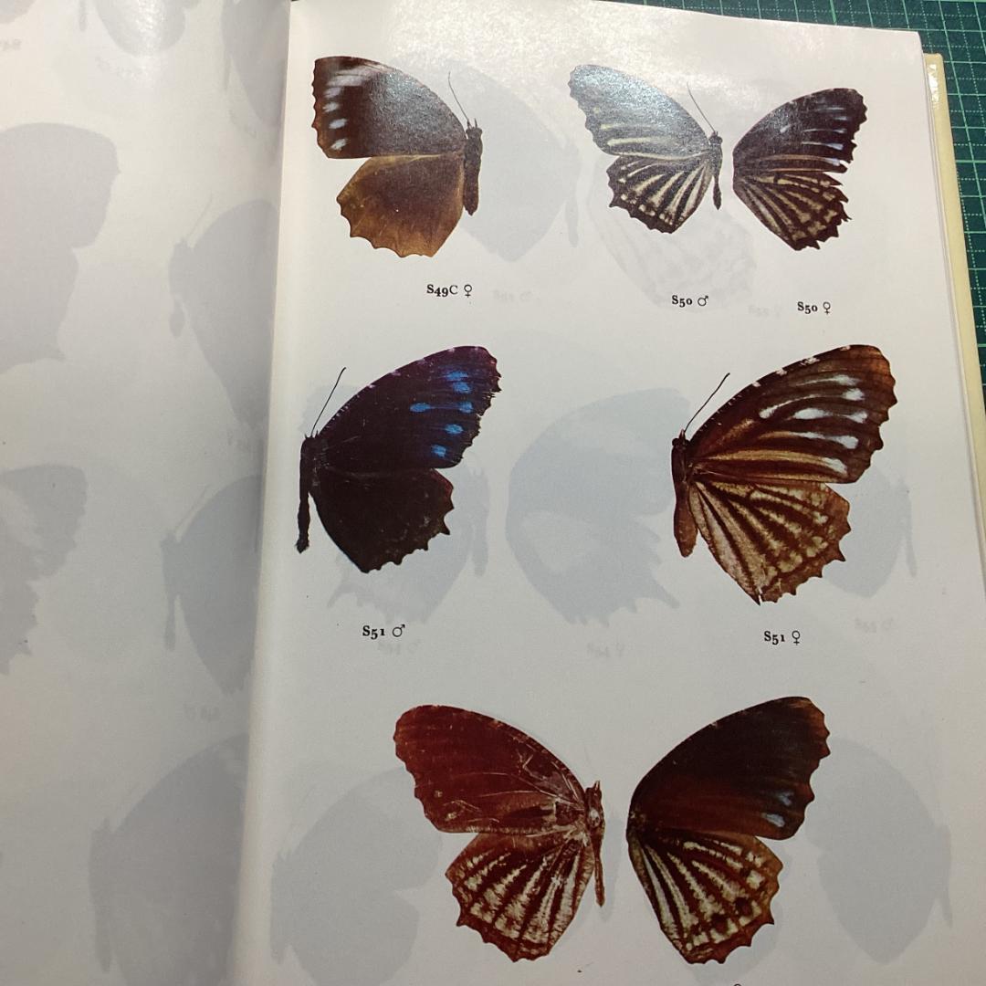 洋書 Butterfllies of WestMalaysiaandSingapore