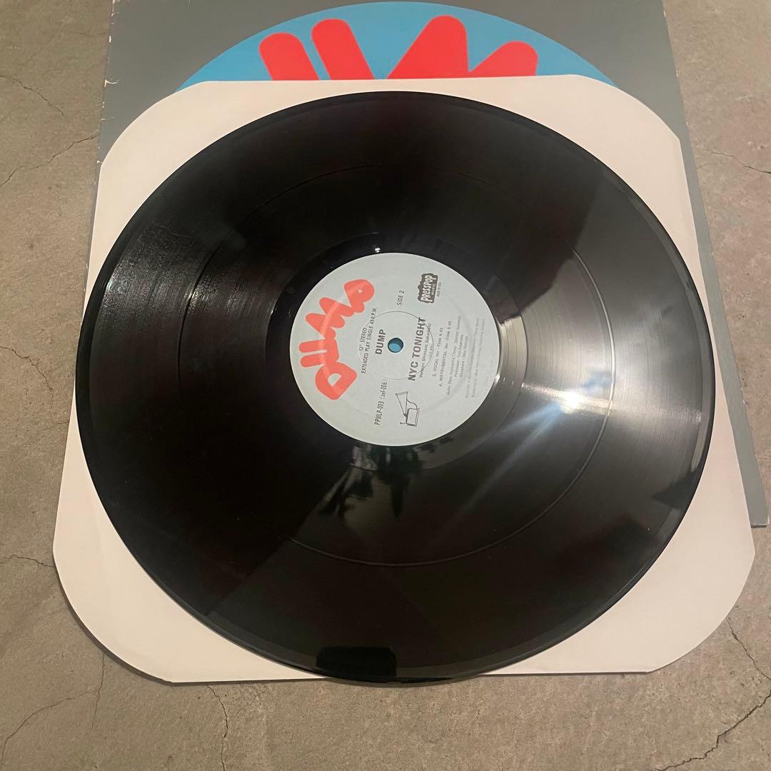 レア dump nyc tonight LP 坂本慎太郎