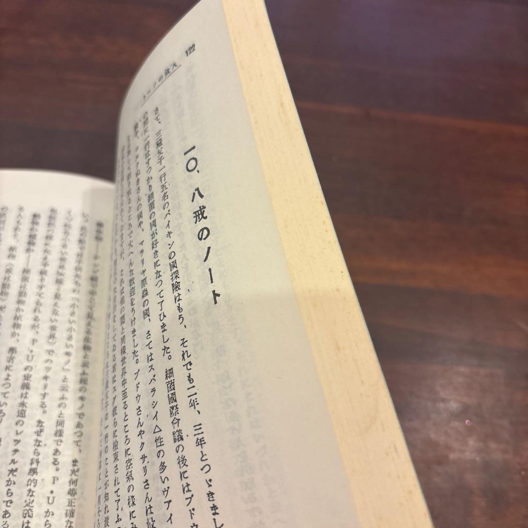 バイキンのの國探險　桜沢如一著