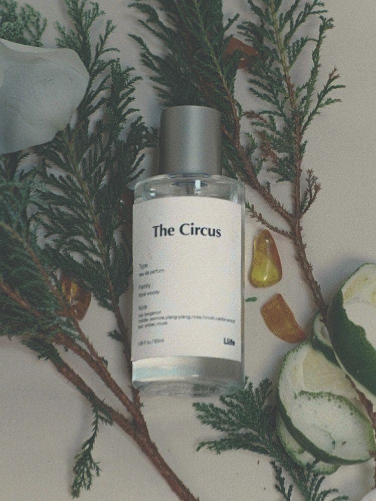 とと【life】 The Circus Lumea City Lights