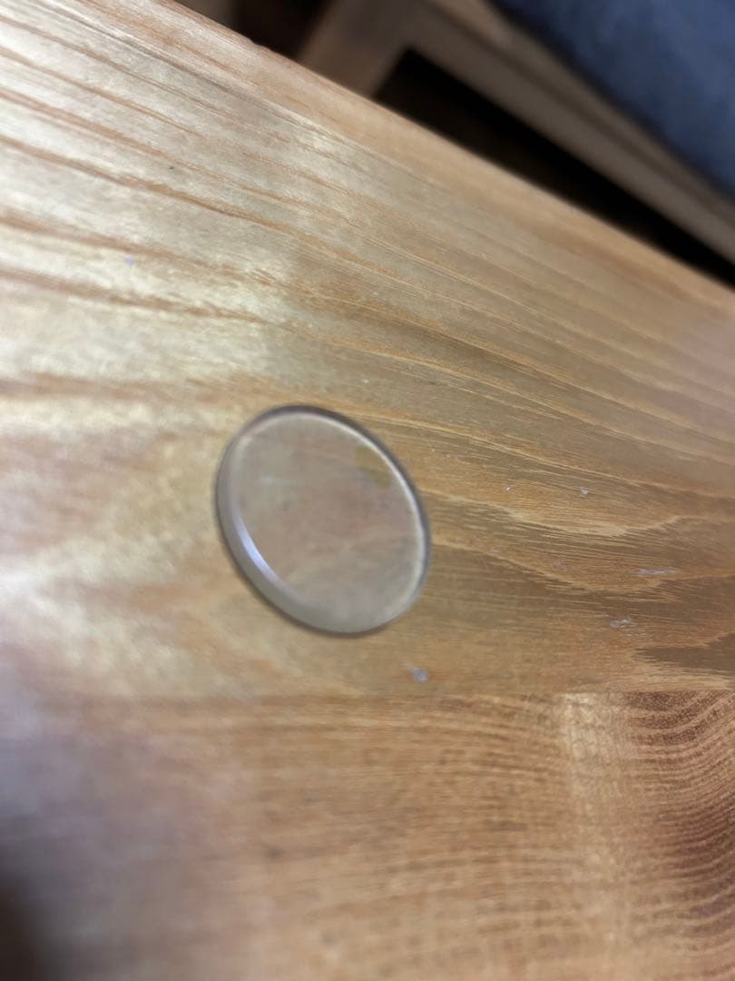 『清麗』　葉小鵬