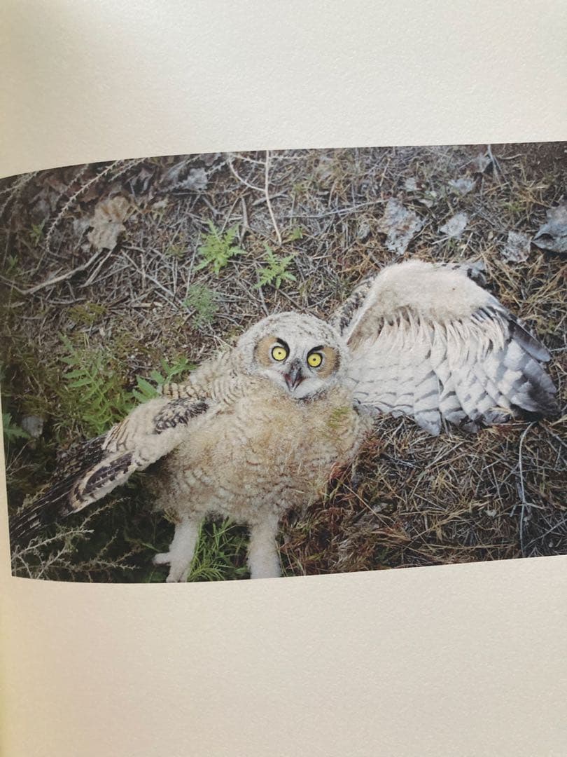 FailingとCountry Road のセット