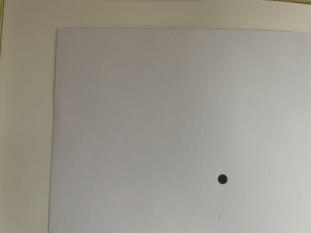 山口一郎 原画　Lサイズ　HANA-green