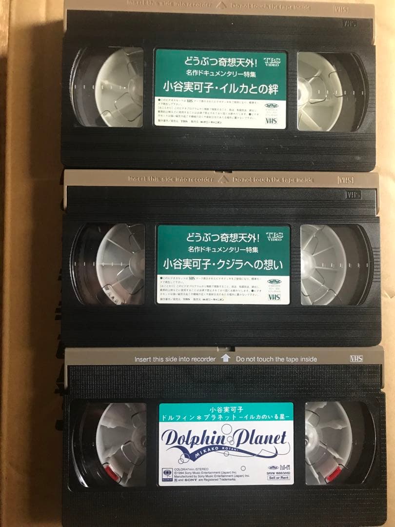 小谷実可子　ビデオセット