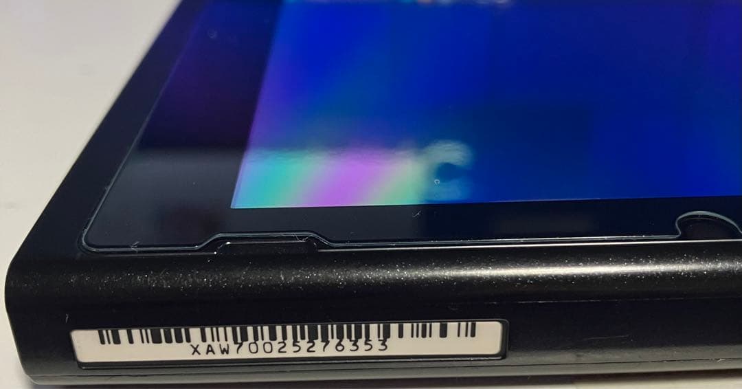 日本未発売 Nintendo Switch ディアブロ3エディション 希少