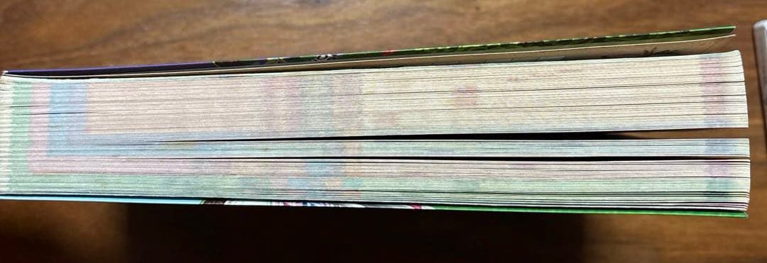 とんがりボウシと魔法の町　3DS とんがりボウシと魔法の町攻略本✨期間限定値下げ