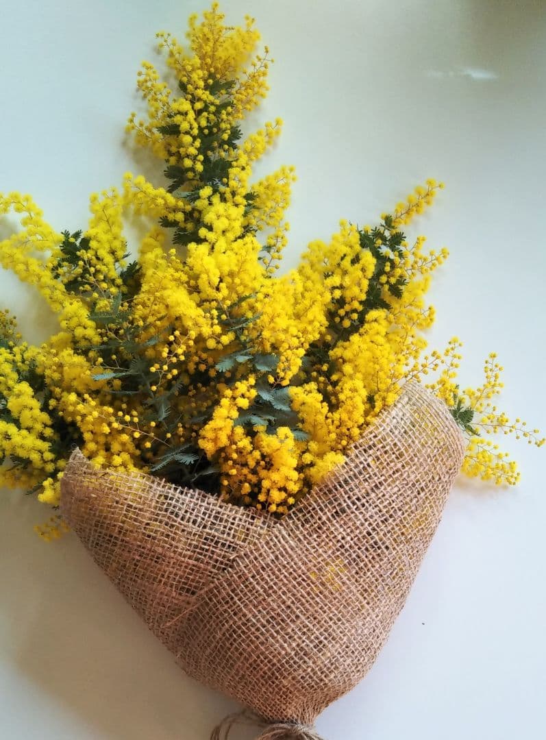 R&Bページ　☘ミモザフレッシュスワッグ・リース☘　②・③