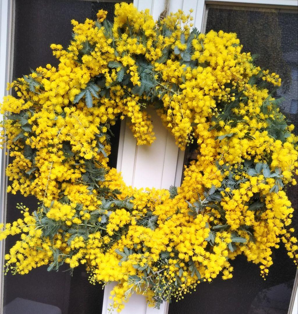 R&Bページ　☘ミモザフレッシュスワッグ・リース☘　②・③