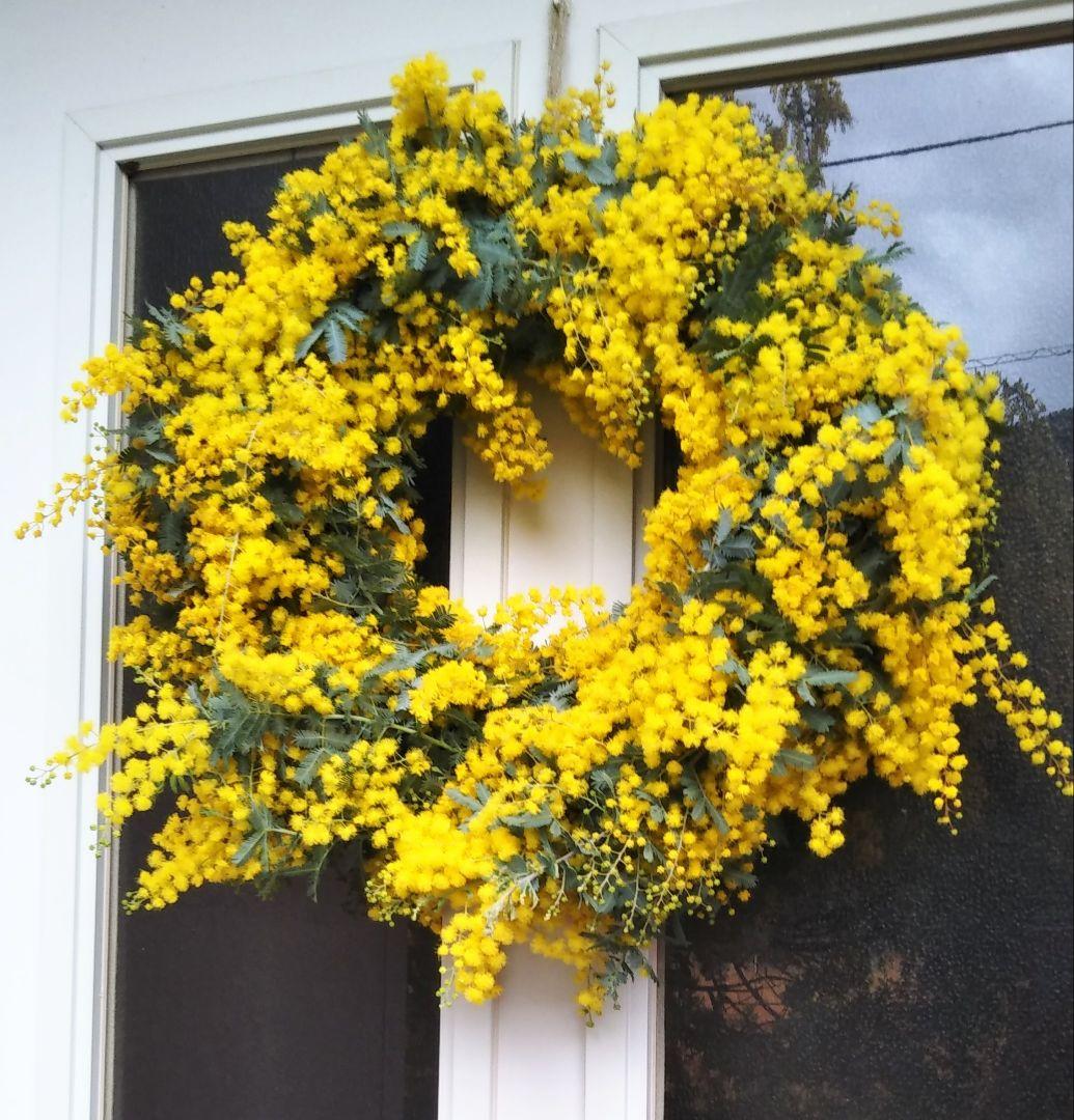 R&Bページ　☘ミモザフレッシュスワッグ・リース☘　②・③